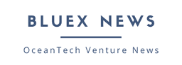 BlueX